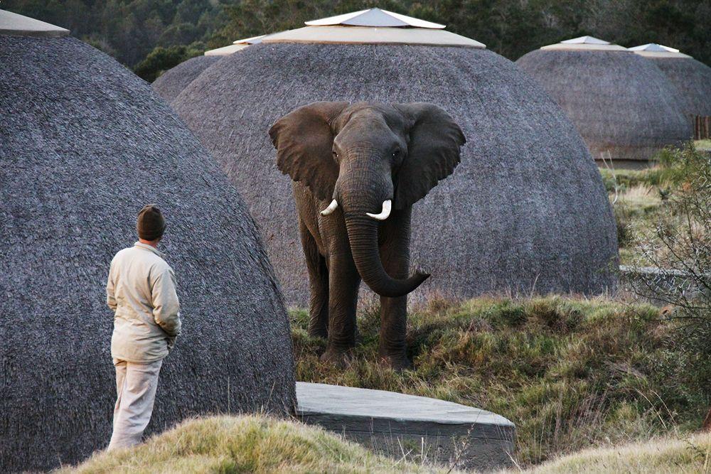 Gondwana Game Reserve Villa Kleinberg Exterior photo